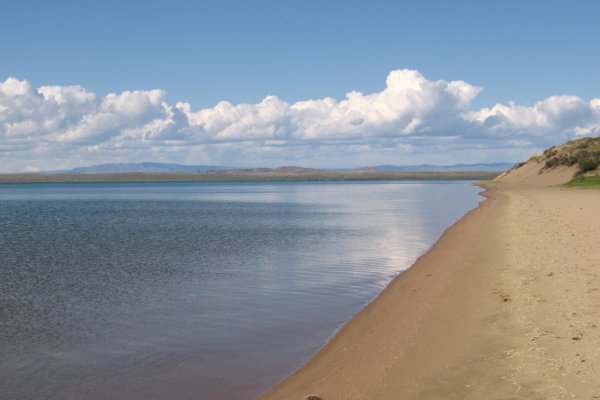 Кракен сайт даркнет ссылка