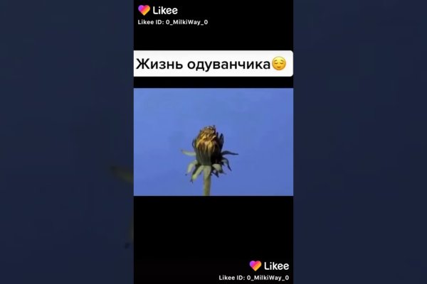 Ссылка кракен через тор