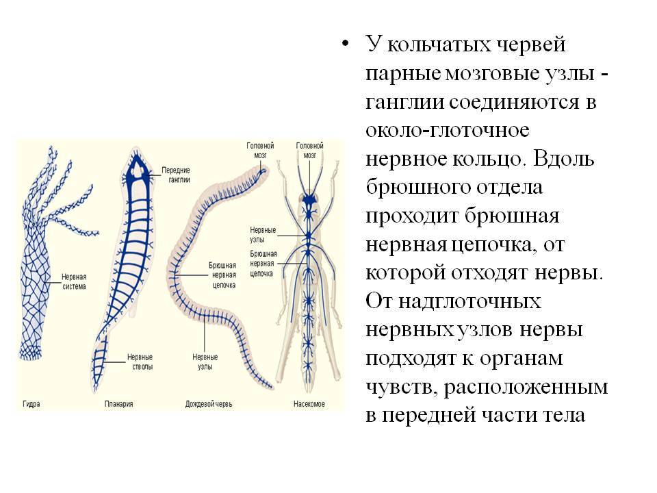 Можно ли вывести деньги с кракена